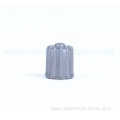 valve stem caps SD022
