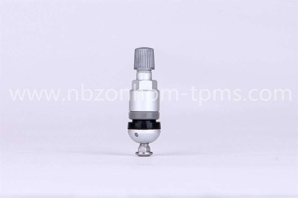 TPMS valve replacement TPMS 524