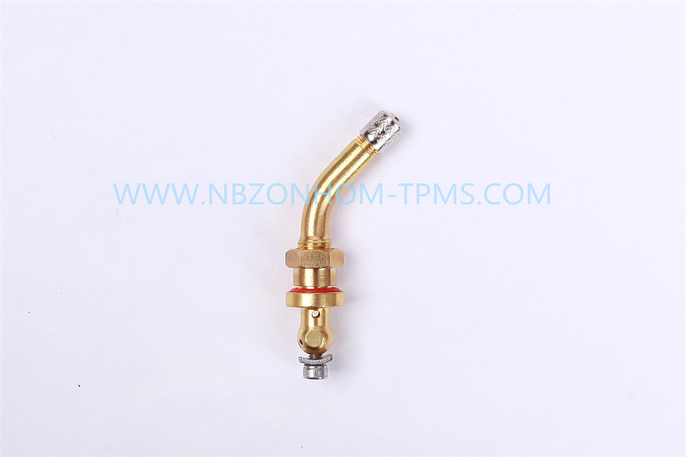 TPMS truck valve TPMS802 V3.20.4